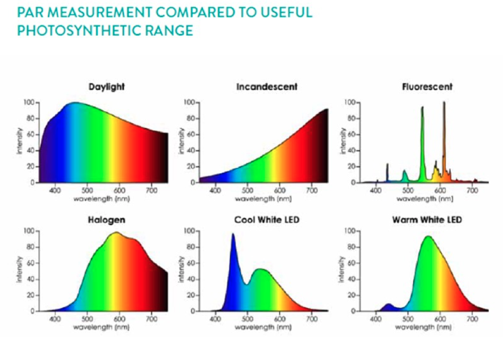 Spectres comparés par type de source